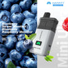 Hayati Mini Ultra 1500 Prefilled Pod Vape Kit Box of 5 - Blueberry Straw' Menthol / Blueberry Raspberry Menthol